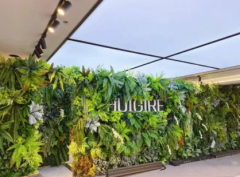 仿真植物墙/仿真大树水泥树/仿真绿植造景